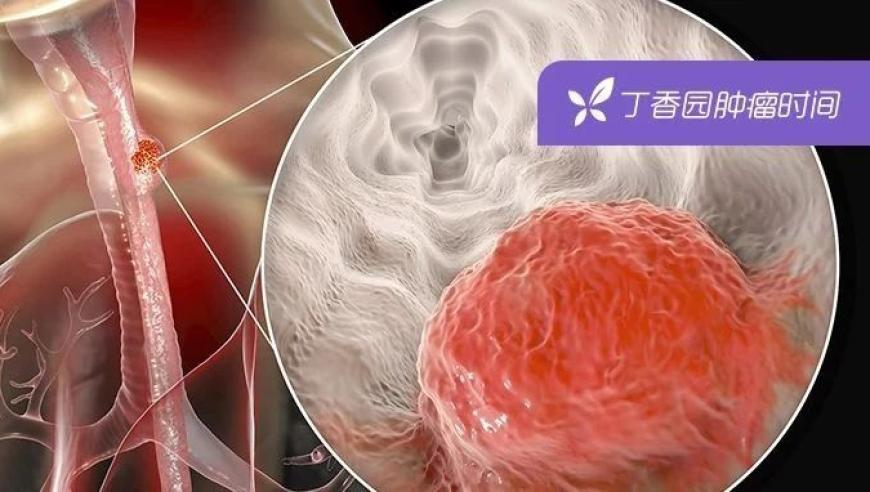 澳门一码一肖一特一中五码必中今,太仓首场招商会上海寻合伙人,重点解答解释落实_至尊版V1.26