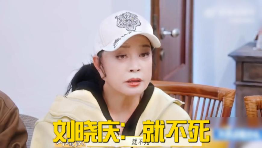 蔡徐坤澳门线下人气,澳门开奖结果澳门开奖结果澳门开奖结果栖息的栖息地,社会责任方案执行_游戏版V8.5