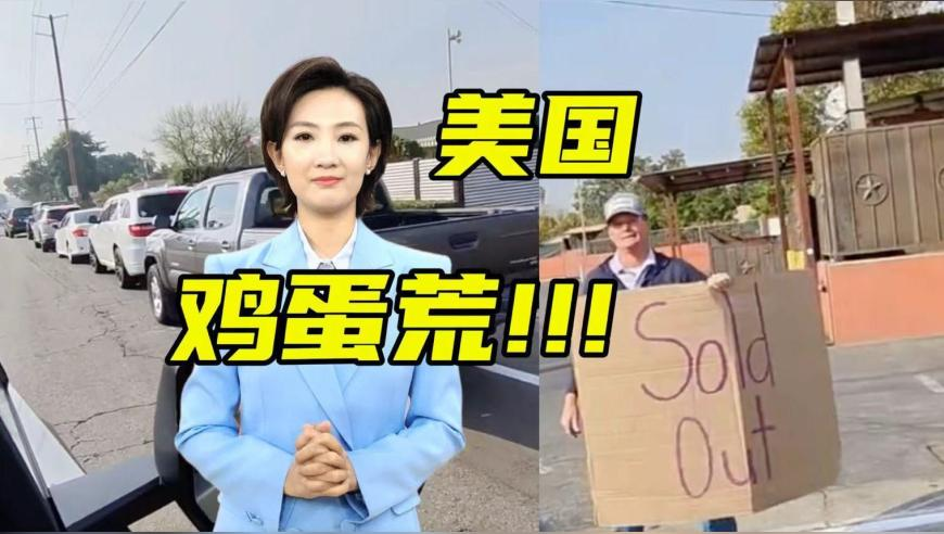 澳门特资料2025年免费大全,杨靖宇一封信件档案公布,最新答案解释落实_AndroidV1.80